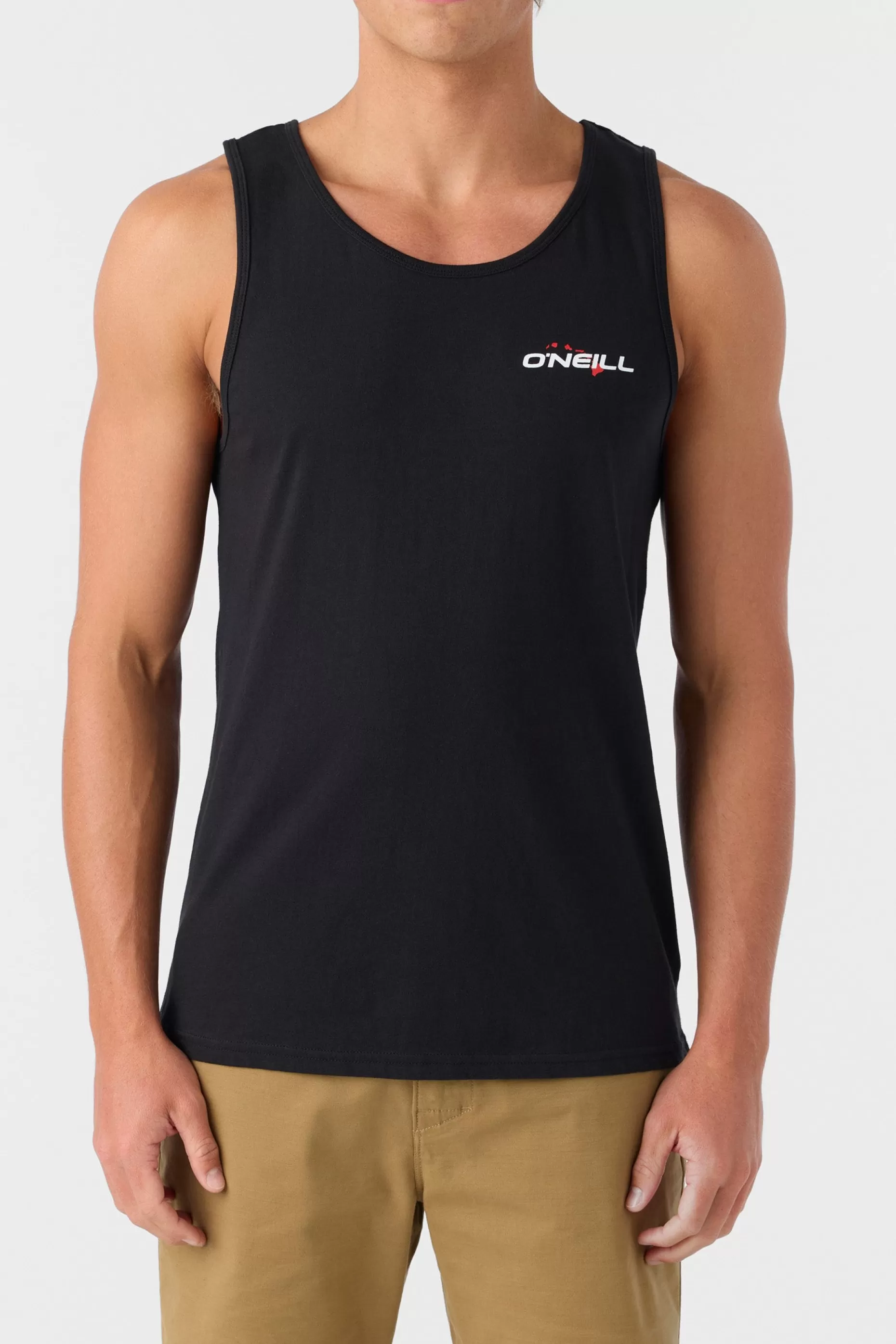 O’Neill HAWAII BADGE STANDARD FIT^ Tees