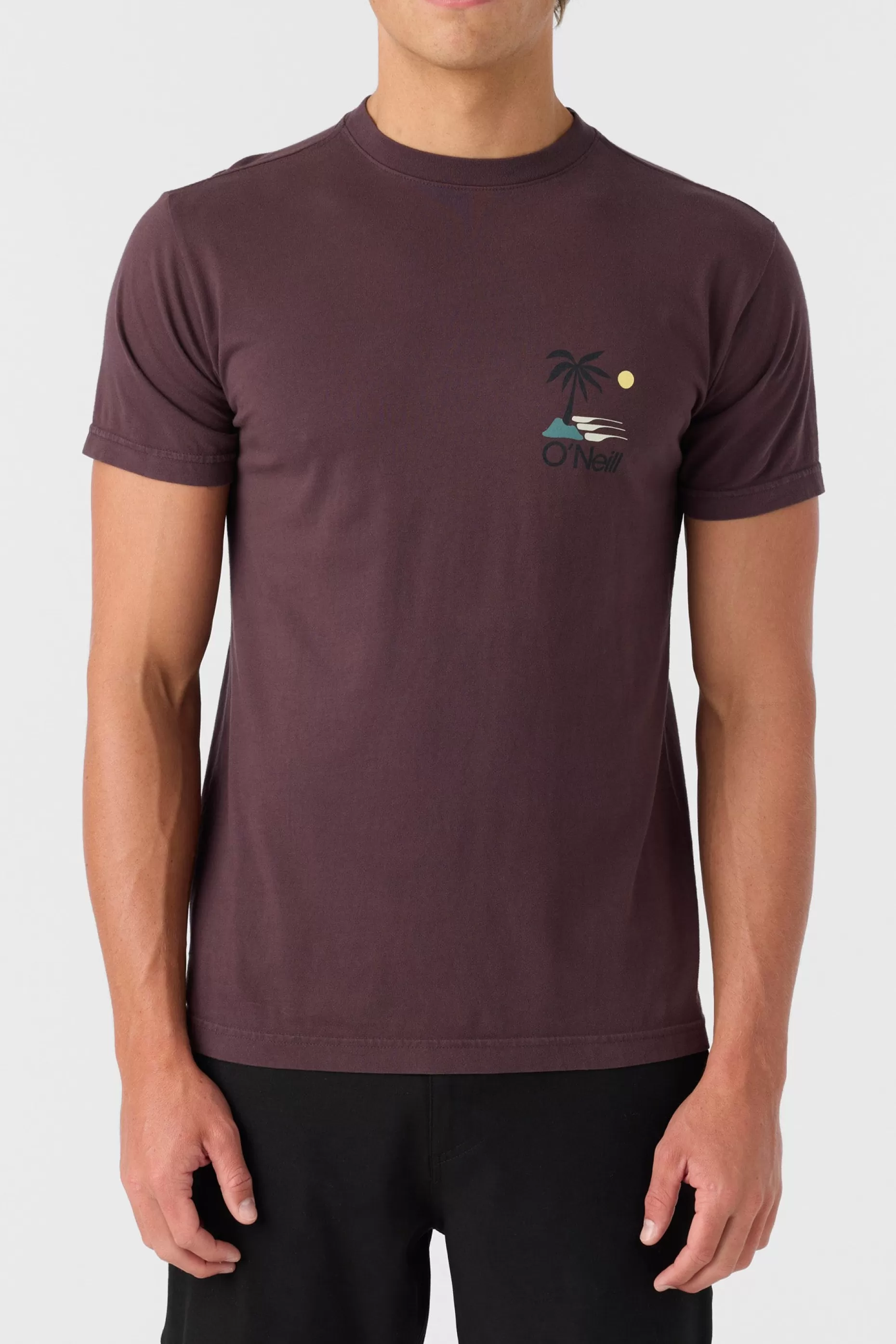 O’Neill O'RIGINALS PALM ISLAND MODERN FIT TEE^ Tees