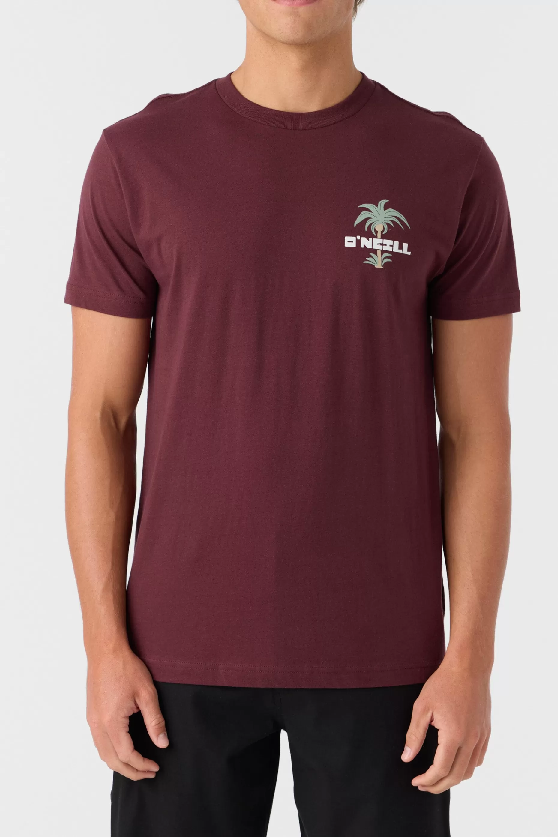 O’Neill STRAINDS STANDARD FIT TEE^ Tees